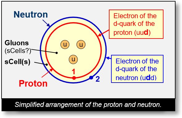 Quanks and Gluons: Arrangement of quarks inside a proton or a neutron
