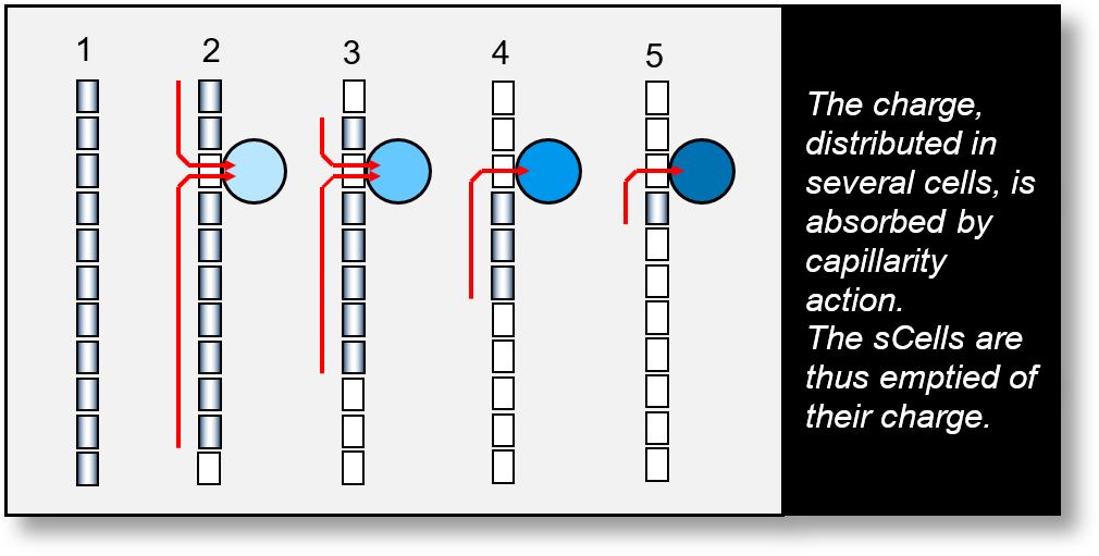 Photons: Reception of a quantum wave