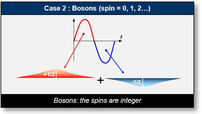 Spin: Bosons