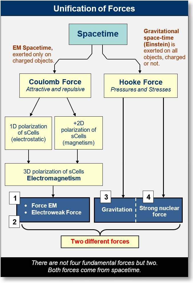 General overview of the four forces